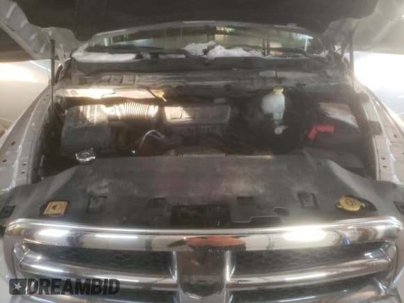 ✅ 2009 Dodge 1500 SLT • VIN: 1D3HV18P79S803442 • Lot: 88116235. Wystawiony na Copart z przebiegiem 231 574 mil. Bezpłatny archiwum sprzedaży aukcyjnych z USA i szczegółowy raport historii pojazdu na DreamBid. Zdjęcie 11.