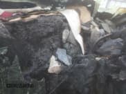 ✅ 1998 Ford F-150 • VIN: 1FTZX1760WNB14742 • Lot: 92538665. Listed on Copart with Not provided. Free auction sales archive from the USA and detailed vehicle history report at DreamBid. Image 9.