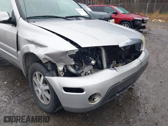 ✅ 2006 Buick Rainier CXL • VIN: 5GADT13S762142937 • Лот: 41228865. Опубликован ранее на IAAI с пробегом 275 920 миль. Бесплатный доступ к архиву аукционных продаж из США и подробный отчёт об истории автомобиля на DreamBid. Изображение 6.