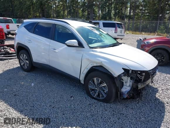 2023 Hyundai Tucson Blue z VIN KM8JBCA1XPU113640, wystawiony jako IAAI lot #42843566 z przebiegiem 56 035 mil mil oraz . Historia ofert i sprzedaży dostępna na DreamBid. Obrazek 1.