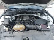 ✅ 2017 Ford Mustang GT • VIN: 1FA6P8CF7H5256581 • Lot: 42124096. Listed on IAAI with 105,296 mi. Free auction sales archive from the USA and detailed vehicle history report at DreamBid. Image 10.