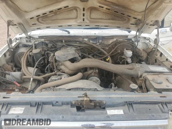 ✅ 1987 Ford F-150 • VIN: 1FTEX14N0HKB05912 • Lot: 71509695. Listed on Copart with 83,376 mi. Free auction sales archive from the USA and detailed vehicle history report at DreamBid. Image 11.