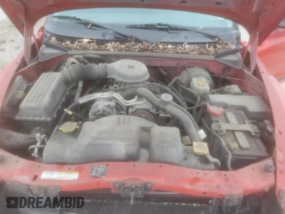 ✅ 2002 Dodge Dakota SLT • VIN: 1B7GL42XX2S504067 • Lot: 44207975. Wystawiony na Copart z przebiegiem 223 293 mil. Bezpłatny archiwum sprzedaży aukcyjnych z USA i szczegółowy raport historii pojazdu na DreamBid. Zdjęcie 11.