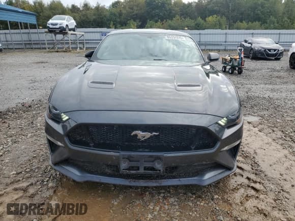 ✅ 2019 Ford Mustang GT Premium • VIN: 1FA6P8CF0K5192455 • Lot: 85334845. Wystawiony na Copart z przebiegiem 51 935 mil. Bezpłatny archiwum sprzedaży aukcyjnych z USA i szczegółowy raport historii pojazdu na DreamBid. Zdjęcie 5.
