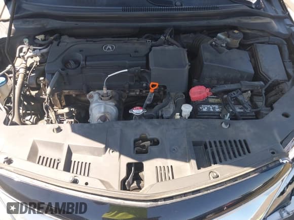 ✅ 2016 Acura ILX Premium • VIN: 19UDE2F79GA019865 • Lot: 43175109. Wystawiony na IAAI z przebiegiem 120 216 mil. Bezpłatny archiwum sprzedaży aukcyjnych z USA i szczegółowy raport historii pojazdu na DreamBid. Zdjęcie 10.