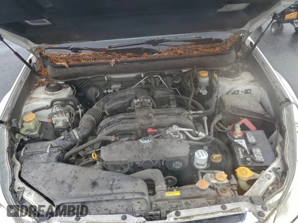 ✅ 2013 Subaru Outback Premium • VIN: 4S4BRBCC6D3280457 • Lot: 94452595. Listed on Copart with 125,287 mi. Free auction sales archive from the USA and detailed vehicle history report at DreamBid. Image 11.