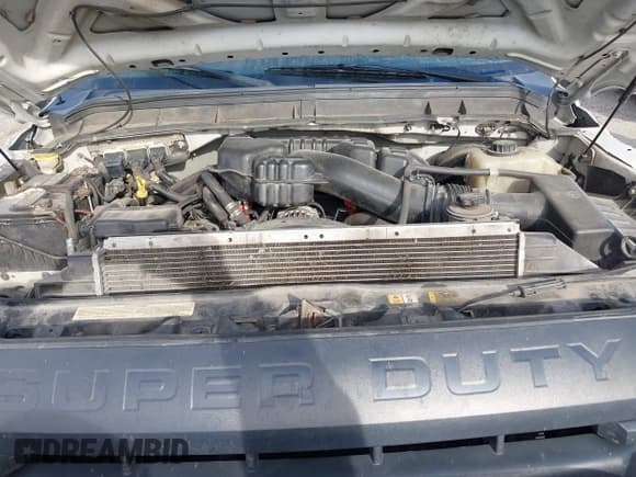 ✅ 2014 Ford F-250 XL • VIN: 1FT7W2B69EEA80001 • Лот: 43636517. Опубликован ранее на IAAI с пробегом 266 646 миль. Бесплатный доступ к архиву аукционных продаж из США и подробный отчёт об истории автомобиля на DreamBid. Изображение 10.