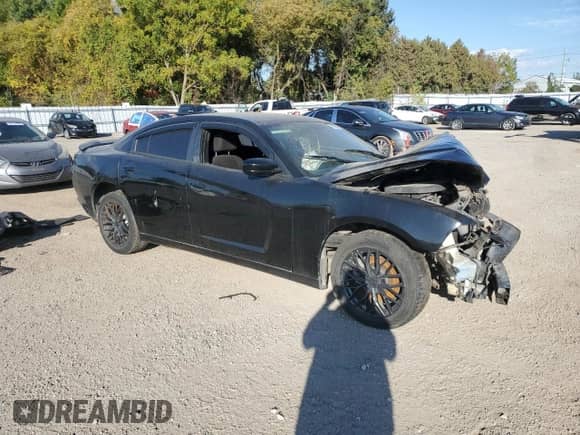 2014 Dodge Charger SE z VIN 2C3CDXBG3EH252224, wystawiony jako Copart lot #80916435 z przebiegiem Nie podano mil oraz Nie do naprawy • Non repairable. Historia ofert i sprzedaży dostępna na DreamBid. Obrazek 4.