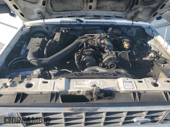 ✅ 1986 Ford Ranger • VIN: 1FTBR10A7GUD16138 • Лот: 77580104. Опубликован ранее на Copart с пробегом 71 276 миль. Бесплатный доступ к архиву аукционных продаж из США и подробный отчёт об истории автомобиля на DreamBid. Изображение 11.