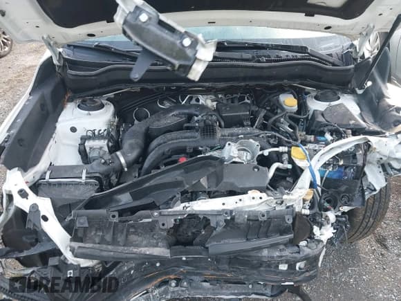 ✅ 2017 Subaru Forester Premium • VIN: JF2SJAEC6HH801027 • Лот: 43495522. Опубликован ранее на IAAI с пробегом Не указан. Бесплатный доступ к архиву аукционных продаж из США и подробный отчёт об истории автомобиля на DreamBid. Изображение 10.