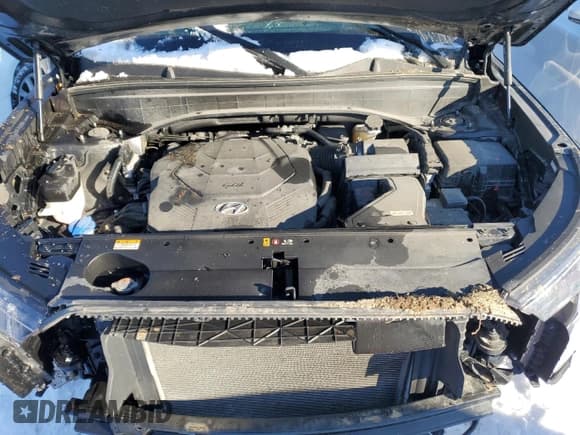 ✅ 2022 Hyundai Palisade SE • VIN: KM8R14HE0NU353183 • Лот: 87370544. Опубликован ранее на Copart с пробегом 48 094 миль. Бесплатный доступ к архиву аукционных продаж из США и подробный отчёт об истории автомобиля на DreamBid. Изображение 12.