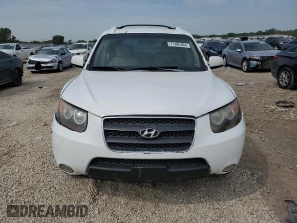 ✅ 2007 Hyundai Santa Fe SE • VIN: 5NMSH13EX7H123460 • Lot: 71380404. Listed on Copart with 245,661 mi. Free auction sales archive from the USA and detailed vehicle history report at DreamBid. Image 5.