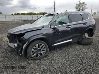 ✅ 2023 Hyundai Santa Fe Calligraphy • VIN: 5NMS5DAL5PH505360 • Lot: 49808214. Wystawiony na Copart z przebiegiem Nie podano. Bezpłatny archiwum sprzedaży aukcyjnych z USA i szczegółowy raport historii pojazdu na DreamBid. Zdjęcie 1.