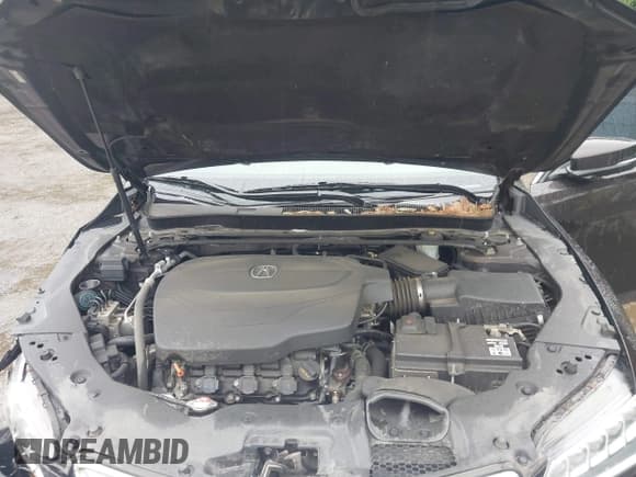 ✅ 2016 Acura TLX Technology • VIN: 19UUB2F55GA011687 • Lot: 43440703. Listed on IAAI with 158,785 mi. Free auction sales archive from the USA and detailed vehicle history report at DreamBid. Image 10.