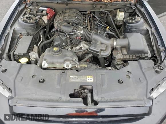 ✅ 2014 Ford Mustang V6 • VIN: 1ZVBP8AM9E5285275 • Lot: 96456015. Wystawiony na Copart z przebiegiem 218 117 mil. Bezpłatny archiwum sprzedaży aukcyjnych z USA i szczegółowy raport historii pojazdu na DreamBid. Zdjęcie 11.