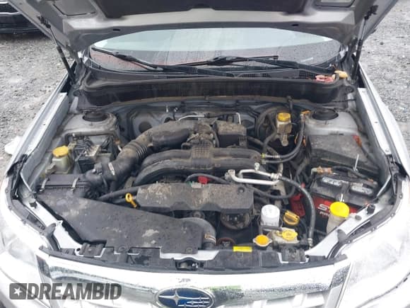 ✅ 2011 Subaru Forester X Premium • VIN: JF2SHADC8BH779388 • Лот: 43709657. Опубликован ранее на IAAI с пробегом 128 757 миль. Бесплатный доступ к архиву аукционных продаж из США и подробный отчёт об истории автомобиля на DreamBid. Изображение 10.