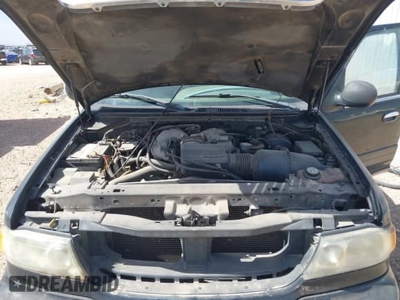 ✅ 2002 Lincoln Navigator • VIN: 5LMEU27R02LJ00412 • Lot: 41821070. Wystawiony na IAAI z przebiegiem 203 565 mil. Bezpłatny archiwum sprzedaży aukcyjnych z USA i szczegółowy raport historii pojazdu na DreamBid. Zdjęcie 10.