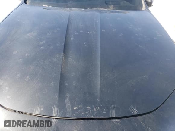 ✅ 2023 BMW 7 Series 760i xDrive • VIN: WBA33EJ09PCM11421 • Лот: 49847205. Опубликован ранее на Copart с пробегом Не указан. Бесплатный доступ к архиву аукционных продаж из США и подробный отчёт об истории автомобиля на DreamBid. Изображение 12.