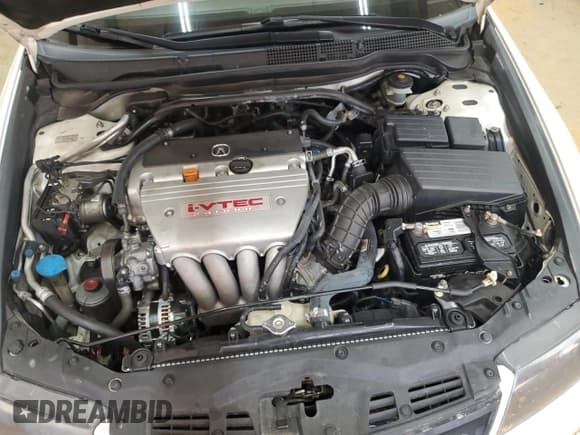 ✅ 2008 Acura TSX • VIN: JH4CL96888C006210 • Lot: 81994955. Listed on Copart with 297,041 mi. Free auction sales archive from the USA and detailed vehicle history report at DreamBid. Image 11.