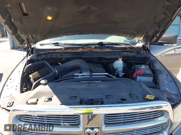 ✅ 2010 Dodge 1500 SLT • VIN: 1D7RB1CT2AS144707 • Lot: 42330344. Wystawiony na IAAI z przebiegiem 238 672 mil. Bezpłatny archiwum sprzedaży aukcyjnych z USA i szczegółowy raport historii pojazdu na DreamBid. Zdjęcie 10.