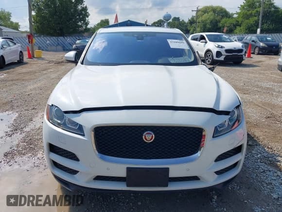 ✅ 2017 Jaguar F-Pace 35t Premium • VIN: SADCJ2BV2HA047507 • Лот: 43109699. Опубликован ранее на IAAI с пробегом 108 188 миль. Бесплатный доступ к архиву аукционных продаж из США и подробный отчёт об истории автомобиля на DreamBid. Изображение 12.