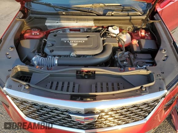 ✅ 2024 Cadillac XT4 AWD Luxury • VIN: 1GYFZBR45RF246726 • Лот: 79614644. Опубликован ранее на Copart с пробегом 1 236 миль. Бесплатный доступ к архиву аукционных продаж из США и подробный отчёт об истории автомобиля на DreamBid. Изображение 13.