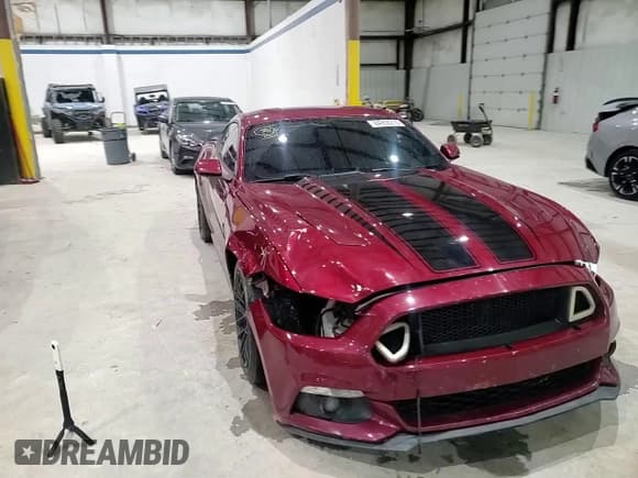 ✅ 2016 Ford Mustang EcoBoost • VIN: 1FA6P8TH4G5288954 • Lot: 84958215. Listed on Copart with 113,230 mi. Free auction sales archive from the USA and detailed vehicle history report at DreamBid. Image 14.