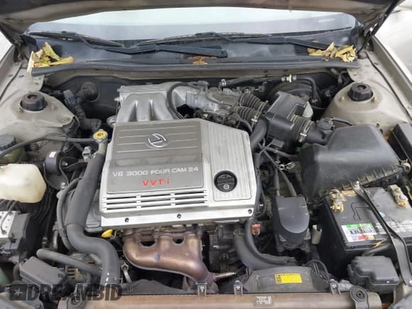 ✅ 2000 Lexus ES 300 • VIN: JT8BF28G4Y5094384 • Lot: 43322210. Listed on IAAI with 176,678 mi. Free auction sales archive from the USA and detailed vehicle history report at DreamBid. Image 10.