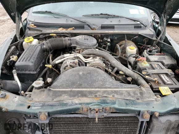 ✅ 1999 Dodge Dakota SLT • VIN: 1B7GG22X4XS309050 • Lot: 82030864. Wystawiony na Copart z przebiegiem 141 396 mil. Bezpłatny archiwum sprzedaży aukcyjnych z USA i szczegółowy raport historii pojazdu na DreamBid. Zdjęcie 11.