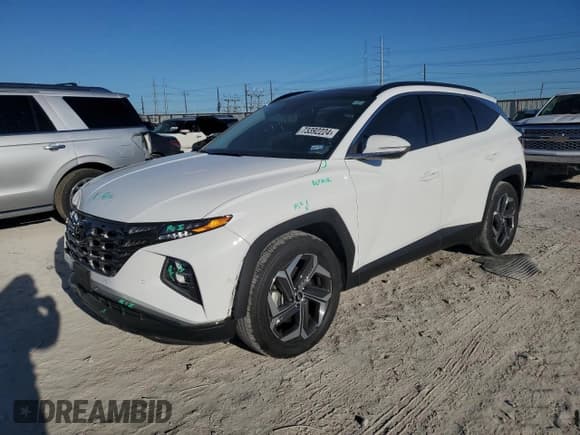 ✅ 2024 Hyundai Tucson Limited • VIN: 5NMJE3DE4RH325597 • Lot: 73392224. Wystawiony na Copart z przebiegiem 17 831 mil. Bezpłatny archiwum sprzedaży aukcyjnych z USA i szczegółowy raport historii pojazdu na DreamBid. Zdjęcie 1.