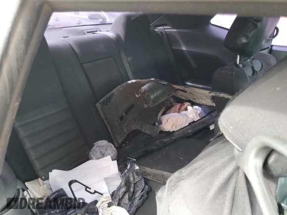 ✅ 2010 Dodge Challenger SE • VIN: 2B3CJ4DV2AH249423 • Lot: 45545383. Wystawiony na Copart z przebiegiem Nie podano. Bezpłatny archiwum sprzedaży aukcyjnych z USA i szczegółowy raport historii pojazdu na DreamBid. Zdjęcie 10.