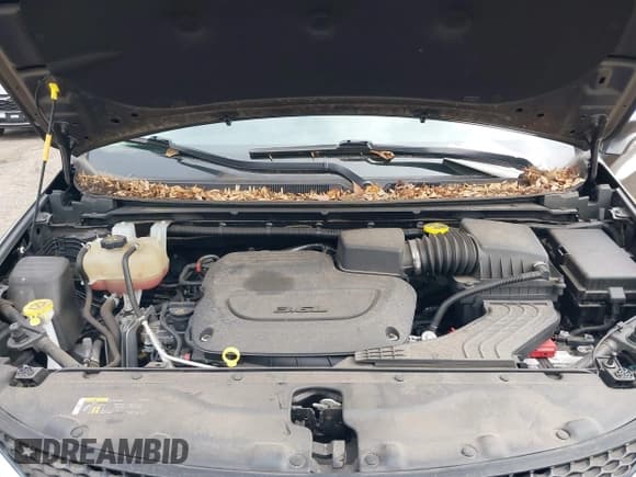 ✅ 2020 Chrysler Pacifica Touring L • VIN: 2C4RC1BG7LR137655 • Lot: 43677775. Listed on IAAI with 20,631 mi. Free auction sales archive from the USA and detailed vehicle history report at DreamBid. Image 10.