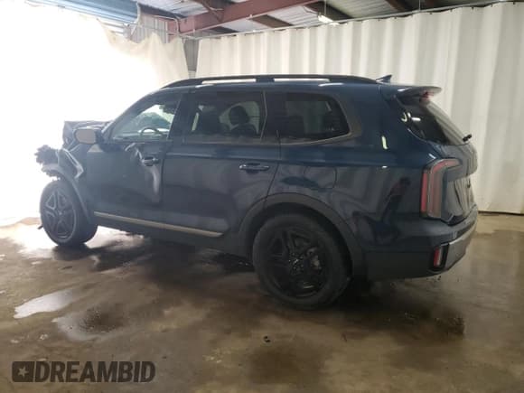 ✅ 2023 Kia Telluride EX X-Line • VIN: 5XYP3DGCXPG396410 • Lot: 68757245. Wystawiony na Copart z przebiegiem 76 020 mil. Bezpłatny archiwum sprzedaży aukcyjnych z USA i szczegółowy raport historii pojazdu na DreamBid. Zdjęcie 2.