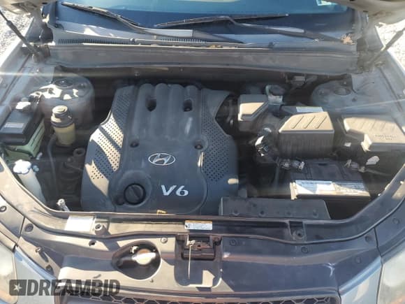 ✅ 2008 Hyundai Santa Fe GLS • VIN: 5NMSG13D18H129630 • Lot: 83250434. Listed on Copart with 216,269 mi. Free auction sales archive from the USA and detailed vehicle history report at DreamBid. Image 12.