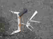 2011 Chevrolet Malibu 2LT с VIN 1G1ZD5E74BF228185, выставлен на аукционе IAAI как лот 43589150 с пробегом 161 926 миль миль и . История ставок и продаж доступна на DreamBid. Изображение 12.