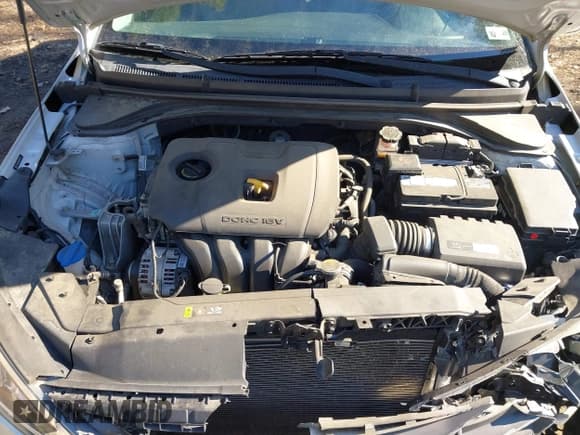 ✅ 2019 Hyundai Elantra SE • VIN: 5NPD74LF8KH470111 • Lot: 41348635. Listed on IAAI with 109,880 mi. Free auction sales archive from the USA and detailed vehicle history report at DreamBid. Image 10.