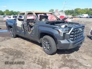 ✅ 2024 Toyota Tundra Platinum • VIN: 5TFNA5DB6RX231615 • Lot: 43170256. Listed on IAAI with 4,500 mi. Free auction sales archive from the USA and detailed vehicle history report at DreamBid. Image 1.