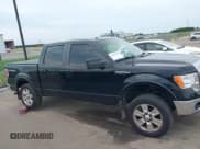 ✅ 2009 Ford F-150 XL • VIN: 1FTPW14V89FA39177 • Lot: 43050528. Listed on IAAI with 244,162 mi. Free auction sales archive from the USA and detailed vehicle history report at DreamBid. Image 13.