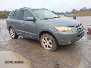 ✅ 2009 Hyundai Santa Fe SE • VIN: 5NMSH73E49H251182 • Lot: 43547132. Listed on IAAI with 141,037 mi. Free auction sales archive from the USA and detailed vehicle history report at DreamBid. Image 1.