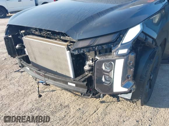 2025 Hyundai Palisade XRT with VIN KM8R34GE1SU834549, listed as a IAAI auction lot 43165313 with 11,080 mi miles and . Bid and sale history available at DreamBid. Image 6.