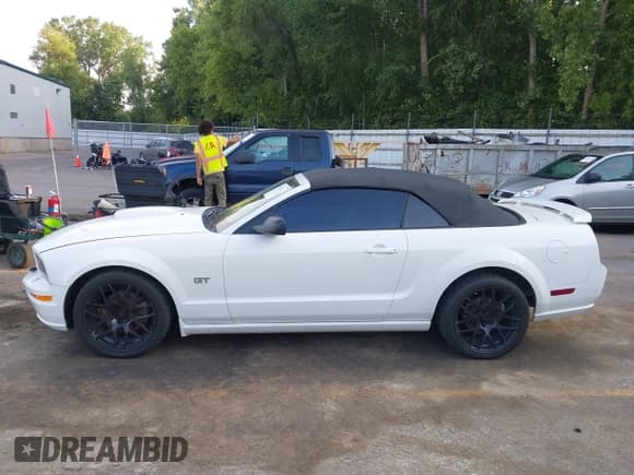 ✅ 2007 Ford Mustang GT Deluxe • VIN: 1ZVHT85HX75318578 • Lot: 42740222. Wystawiony na IAAI z przebiegiem 94 114 mil. Bezpłatny archiwum sprzedaży aukcyjnych z USA i szczegółowy raport historii pojazdu na DreamBid. Zdjęcie 14.