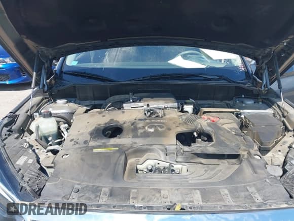 ✅ 2019 Infiniti QX50 Pure • VIN: 3PCAJ5M19KF125651 • Лот: 43361304. Опубликован ранее на IAAI с пробегом 125 158 миль. Бесплатный доступ к архиву аукционных продаж из США и подробный отчёт об истории автомобиля на DreamBid. Изображение 10.