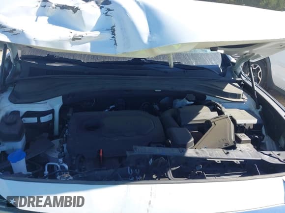 ✅ 2020 Hyundai Santa Fe SE • VIN: 5NMS2CAD1LH139337 • Lot: 43506089. Wystawiony na IAAI z przebiegiem 38 784 mil. Bezpłatny archiwum sprzedaży aukcyjnych z USA i szczegółowy raport historii pojazdu na DreamBid. Zdjęcie 10.