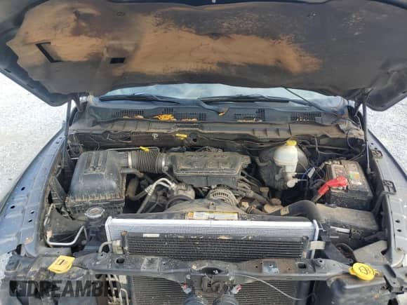 2010 Dodge 1500 ST with VIN 1D7RB1GP9AS154454, listed as a Copart auction lot 78296594 with 195,267 mi miles and Salvage title. Bid and sale history available at DreamBid. Image 11.