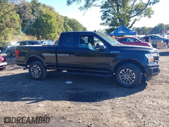 ✅ 2019 Ford F-150 XL • VIN: 1FTEX1EP7KKD54053 • Lot: 43410793. Listed on IAAI with 44,599 mi. Free auction sales archive from the USA and detailed vehicle history report at DreamBid. Image 13.
