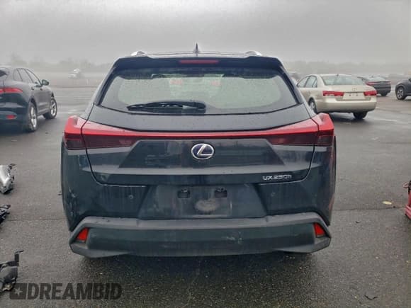 ✅ 2021 Lexus UX 250h • VIN: JTHP9JBH9M2038591 • Лот: 93892595. Опубликован ранее на Copart с пробегом 76 345 миль. Бесплатный доступ к архиву аукционных продаж из США и подробный отчёт об истории автомобиля на DreamBid. Изображение 6.