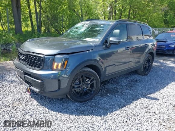 ✅ 2024 Kia Telluride EX X-Line • VIN: 5XYP3DGC9RG539740 • Lot: 42330422. Listed on IAAI with 28,216 mi. Free auction sales archive from the USA and detailed vehicle history report at DreamBid. Image 2.