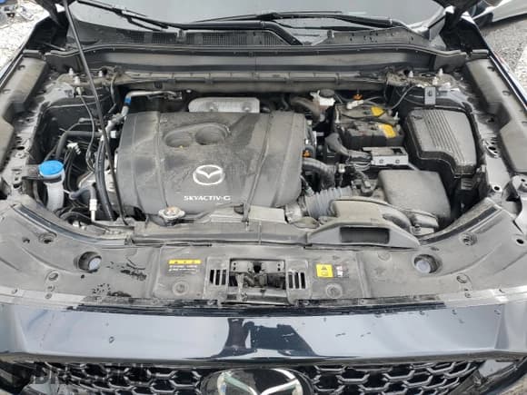 ✅ 2024 Mazda CX-5 S Premium Plus • VIN: JM3KFBEL1R0522548 • Лот: 85193055. Опубликован ранее на Copart с пробегом 29 227 миль. Бесплатный доступ к архиву аукционных продаж из США и подробный отчёт об истории автомобиля на DreamBid. Изображение 12.