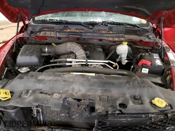 ✅ 2009 Dodge 1500 Sport • VIN: 1D3HV18T59S822715 • Lot: 86670335. Listed on Copart with 188,555 mi. Free auction sales archive from the USA and detailed vehicle history report at DreamBid. Image 11.