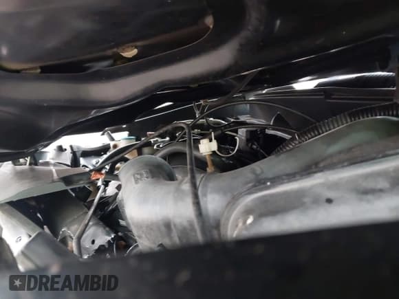 ✅ 2003 Honda Element EX • VIN: 5J6YH28593L032160 • Lot: 43754577. Listed on IAAI with Not provided. Free auction sales archive from the USA and detailed vehicle history report at DreamBid. Image 10.